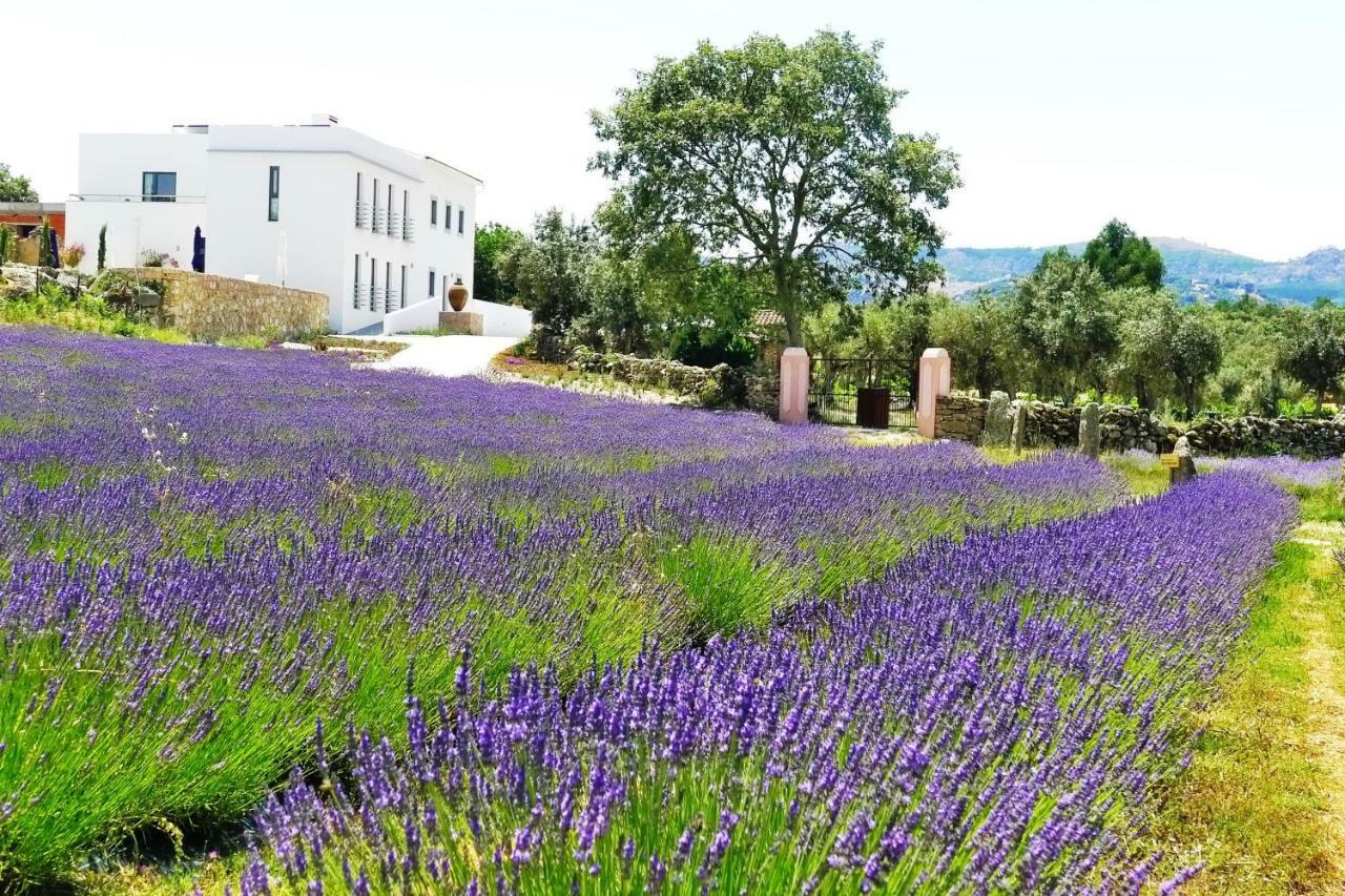 Quinta Das Lavandas Castelo de Vide Exteriér fotografie